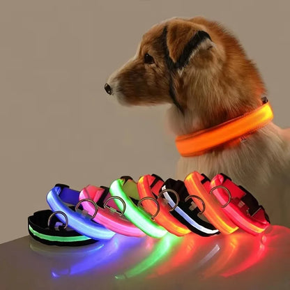 Nylon LED Adjustable Dog Collar Safety Glowing Luminous Collar Dog Night Light Pet Safety Collar For Small Dogs Cat Accessories