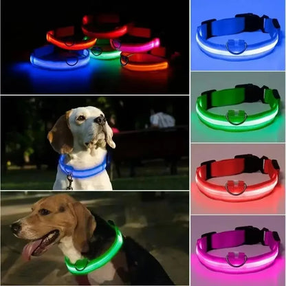 Nylon LED Adjustable Dog Collar Safety Glowing Luminous Collar Dog Night Light Pet Safety Collar For Small Dogs Cat Accessories