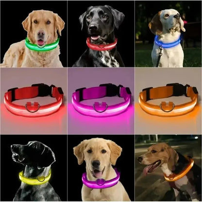 Nylon LED Adjustable Dog Collar Safety Glowing Luminous Collar Dog Night Light Pet Safety Collar For Small Dogs Cat Accessories